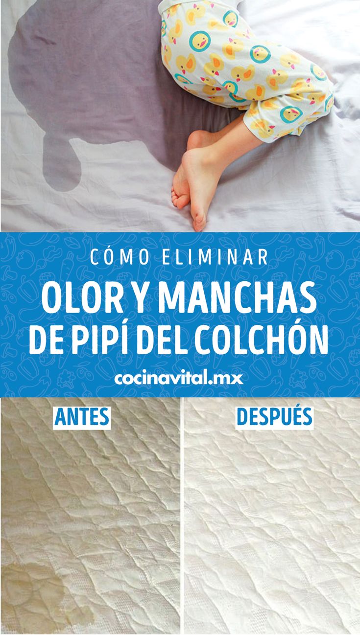 Guía para limpiar un colchón orinado de forma efectiva 1 Guía para limpiar un colchón orinado de forma efectiva