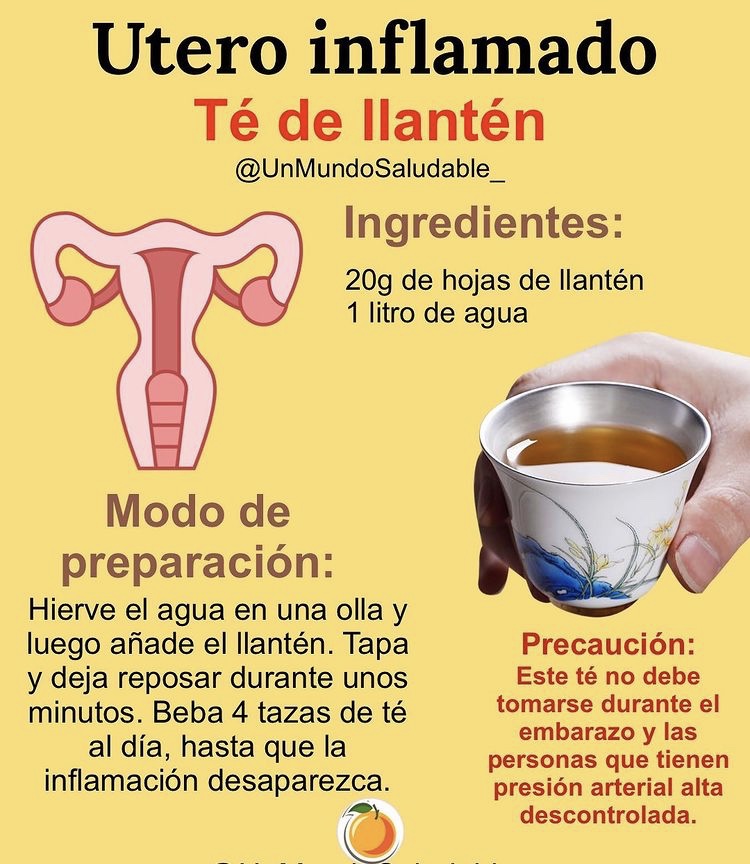 Descubre el mejor remedio casero para limpiar tu vientre de forma natural