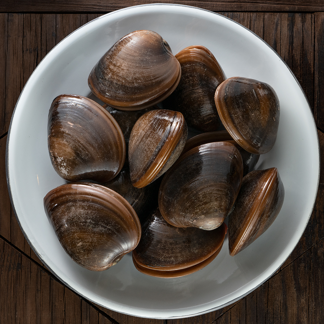 Consejos para limpiar fácilmente la almeja chocolata en casa