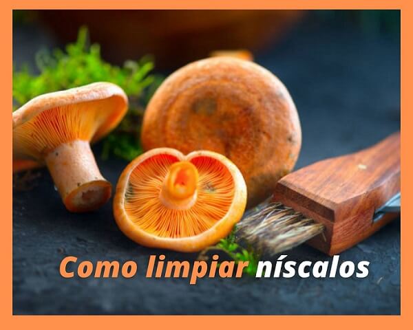 Guía para limpiar níscalos de forma efectiva