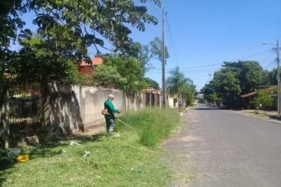 ¿Recibiste una multa por no limpiar tu terreno? Descubre cómo evitar sanciones en el futuro