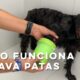 Limpia y cuida las patas de tu perro con nuestro aparato innovador