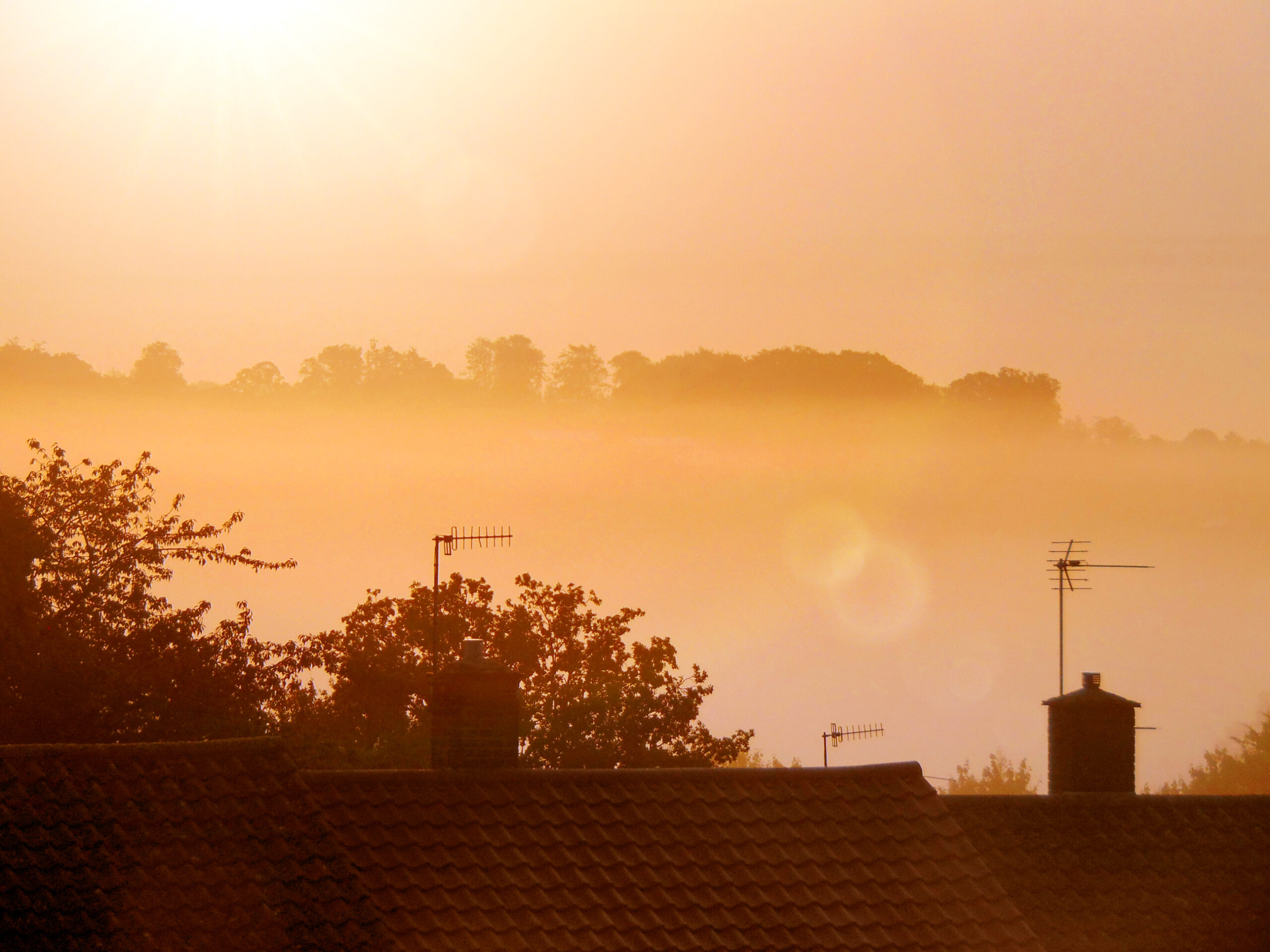 Como limpiar el barro de la calima