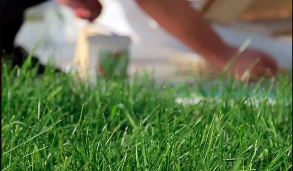 Guía de limpieza para pasto sintético