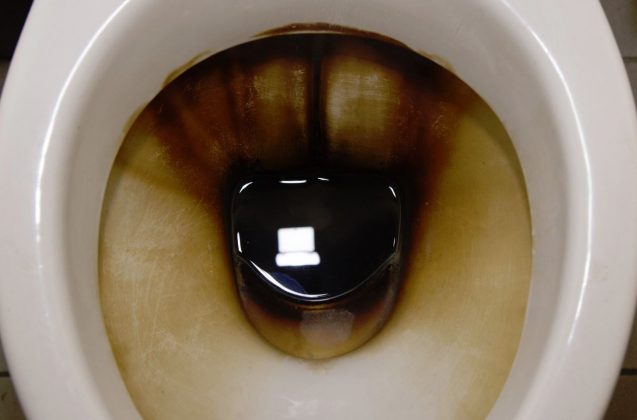 Con que limpiar inodoro