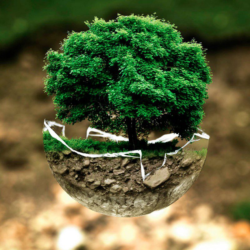 Descubre cómo limpiar fácilmente tus flores de goma eva en casa