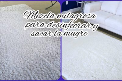 Consejos para limpiar alfombras de forma efectiva
