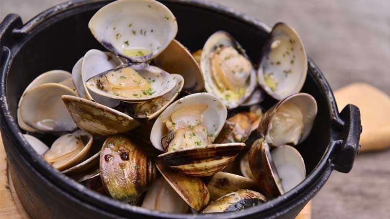 Consejos para limpiar almejas de forma efectiva