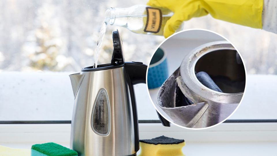 Elimina el sarro de tu pava eléctrica con estos simples pasos