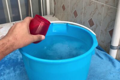 Elimina excrementos de palomas con lejía: la solución perfecta