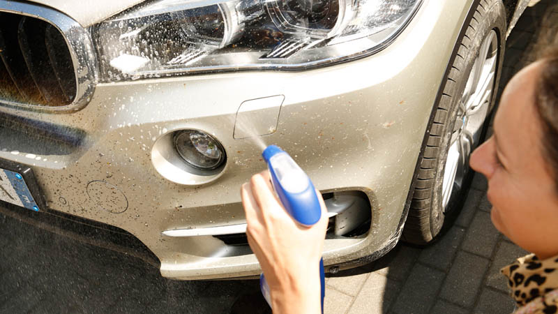 Elimina mosquitos del coche de forma efectiva