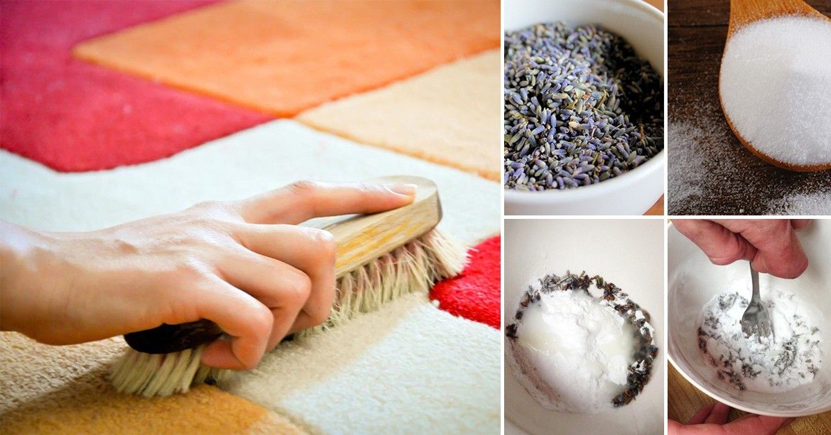 Elimina fácilmente el olor y manchas de orina de tu sofá con estos 5 consejos efectivos