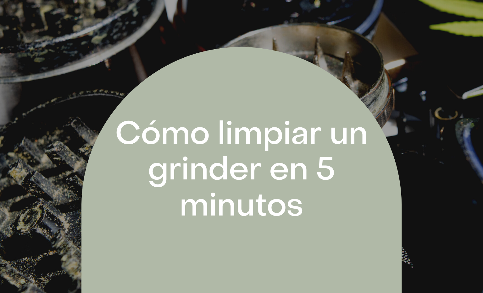 Guía rápida para limpiar tu grinder de forma efectiva