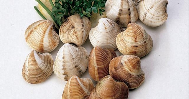 Consejos para limpiar chirlas de forma efectiva