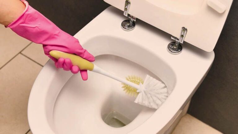 Descubre los mejores productos para limpiar tu inodoro de forma efectiva