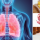 Descubre cómo limpiar tus pulmones de forma natural en nuestro herbolario