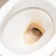 Tips infalibles para eliminar el sarro del wc de manera fácil y rápida