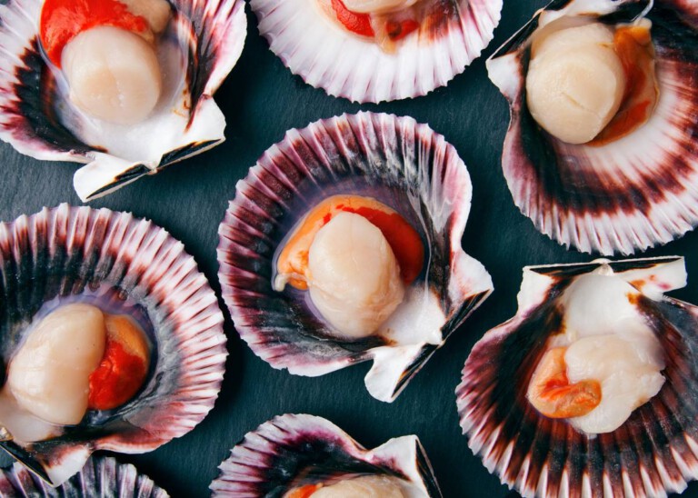 Limpiar zamburiñas congeladas: Consejos prácticos