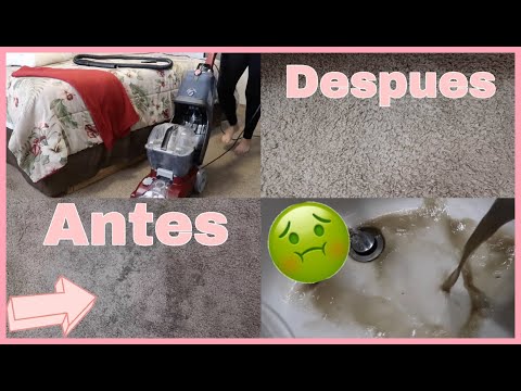 Maquina limpiadora de alfombras: eficaz y fácil de usar