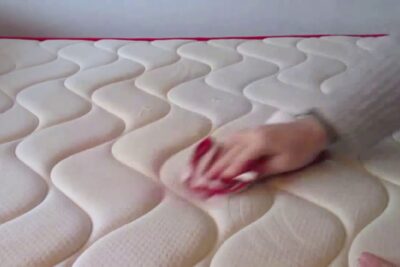 Aprende a limpiar un colchón de pipí de perro de forma efectiva y fácil.