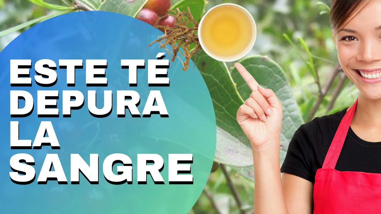 Salsa parrilla desintoxicante para purificar la sangre