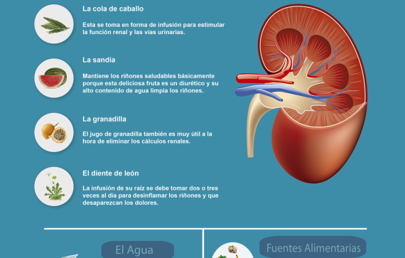 Descubre cómo limpiar tus riñones de forma natural: ¡Consejos efectivos al alcance de todos!