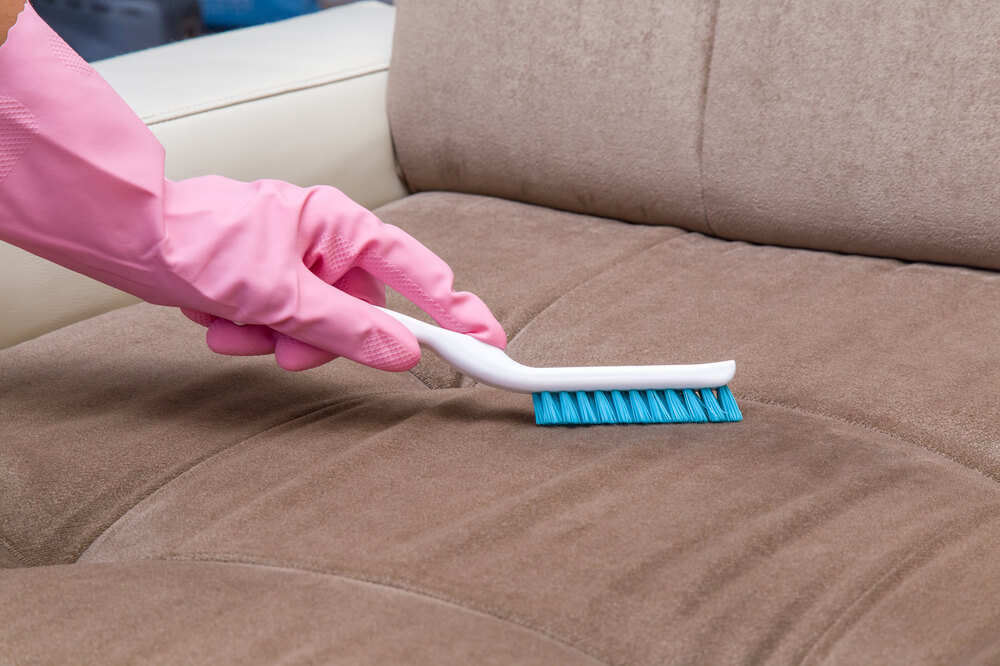 Elimina fácilmente el olor y manchas de orina de tu sofá con estos 5 consejos efectivos