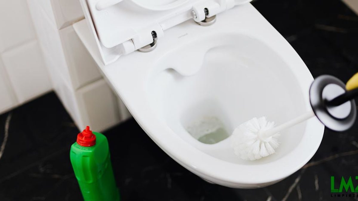 Trucos para limpiar el fondo negro del inodoro de forma efectiva